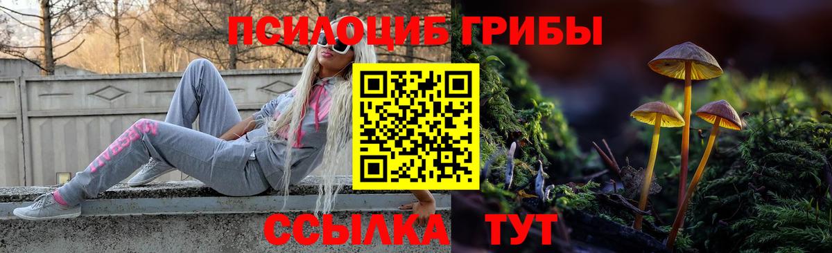 Губкин  Псилоцибиновые грибы мухоморы  Вход с VPN  Галлюциногенные грибы GOLDEN TEACHER 