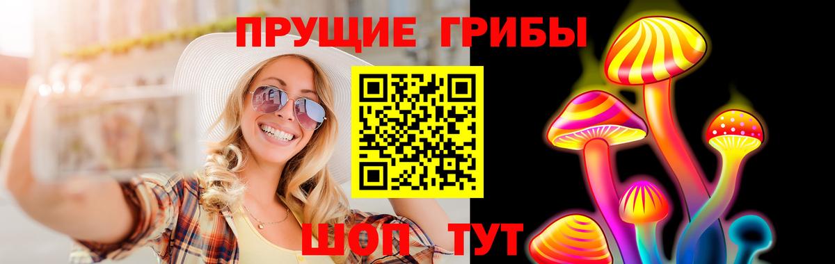Галлюциногенные грибы Psilocybine cubensis Губкин